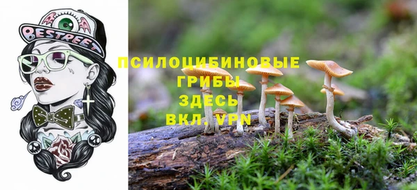 прущие крисы Верхний Тагил