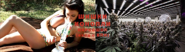 прущие крисы Верхний Тагил
