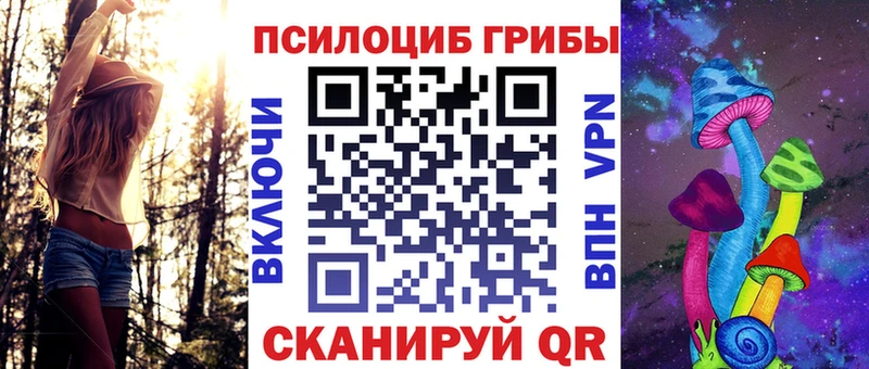 Псилоцибиновые грибы Psilocybine cubensis  купить наркоту  Курган 
